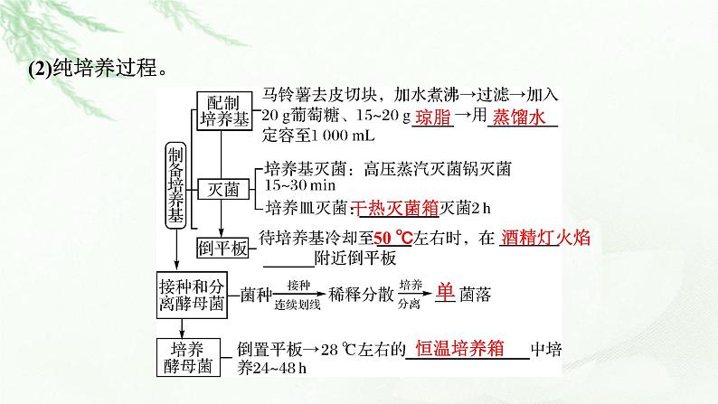 2024届高考生物一轮复习第十二单元发酵工程第2讲微生物的培养与应用课件第6页