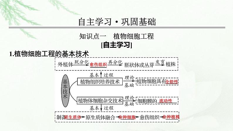 2024届高考生物一轮复习第十三单元细胞工程第1讲细胞工程课件03