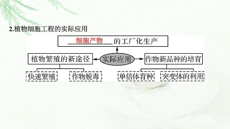 2024届高考生物一轮复习第十三单元细胞工程第1讲细胞工程课件04