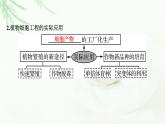 2024届高考生物一轮复习第十三单元细胞工程第1讲细胞工程课件