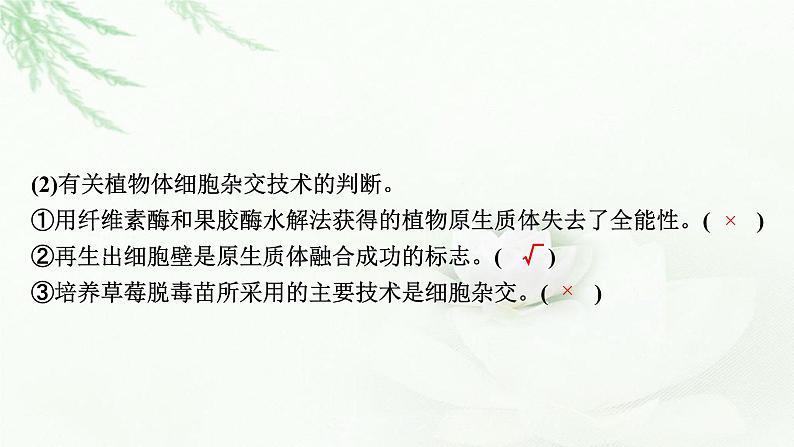 2024届高考生物一轮复习第十三单元细胞工程第1讲细胞工程课件06