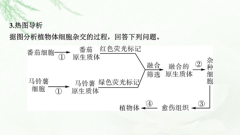 2024届高考生物一轮复习第十三单元细胞工程第1讲细胞工程课件08