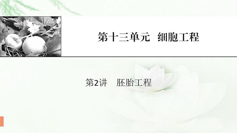 2024届高考生物一轮复习第十三单元细胞工程第2讲胚胎工程课件第1页