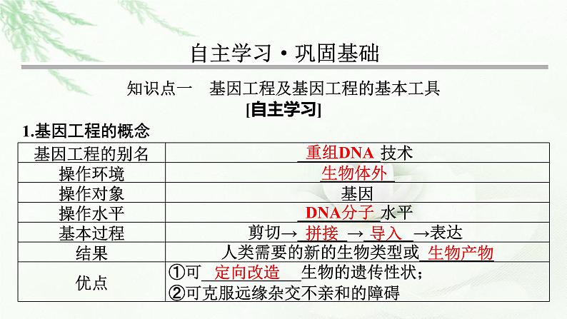 2024届高考生物一轮复习第十四章基因工程生物技术的安全性与伦理问题课件03