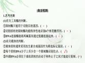2024届高考生物一轮复习第十四章基因工程生物技术的安全性与伦理问题课件