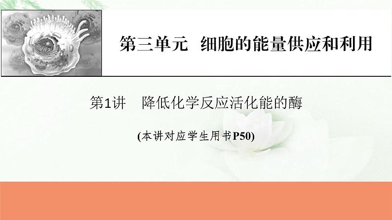 2024届高考生物一轮复习第三单元细胞的能量供应和作用第1讲降低化学反应活化能的酶课件第1页