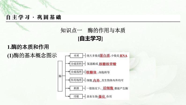 2024届高考生物一轮复习第三单元细胞的能量供应和作用第1讲降低化学反应活化能的酶课件第3页