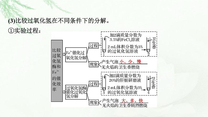 2024届高考生物一轮复习第三单元细胞的能量供应和作用第1讲降低化学反应活化能的酶课件第5页