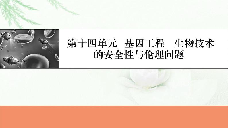 2024届高考生物一轮复习第十四章基因工程生物技术的安全性与伦理问题课件01