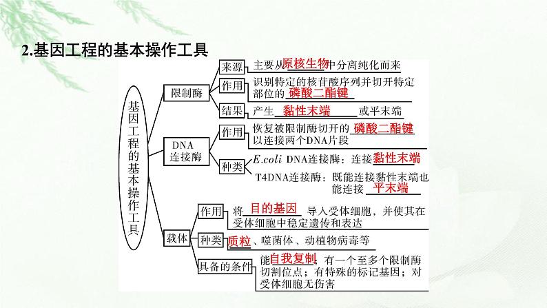 2024届高考生物一轮复习第十四章基因工程生物技术的安全性与伦理问题课件04