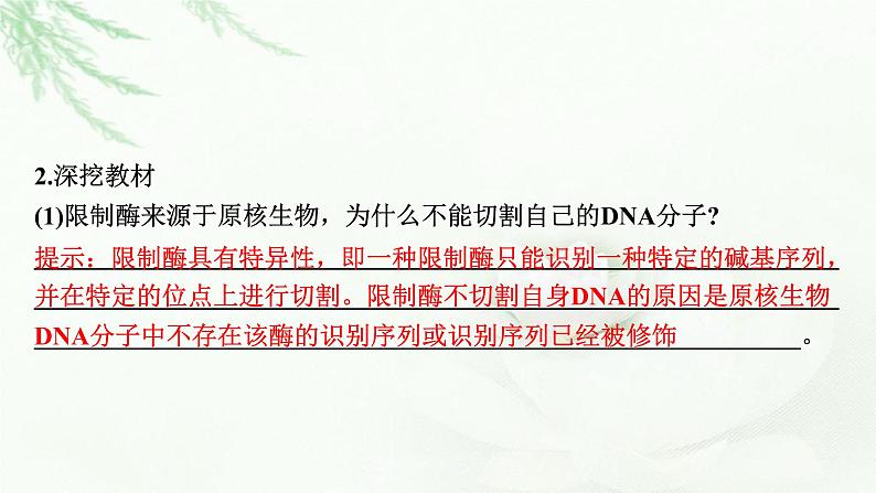 2024届高考生物一轮复习第十四章基因工程生物技术的安全性与伦理问题课件06