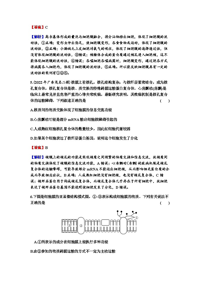 2024届高考生物一轮复习第二单元细胞的基本结构细胞的物质输入和输出第1讲细胞膜的结构和功能细胞核的结构和功能练习含答案03