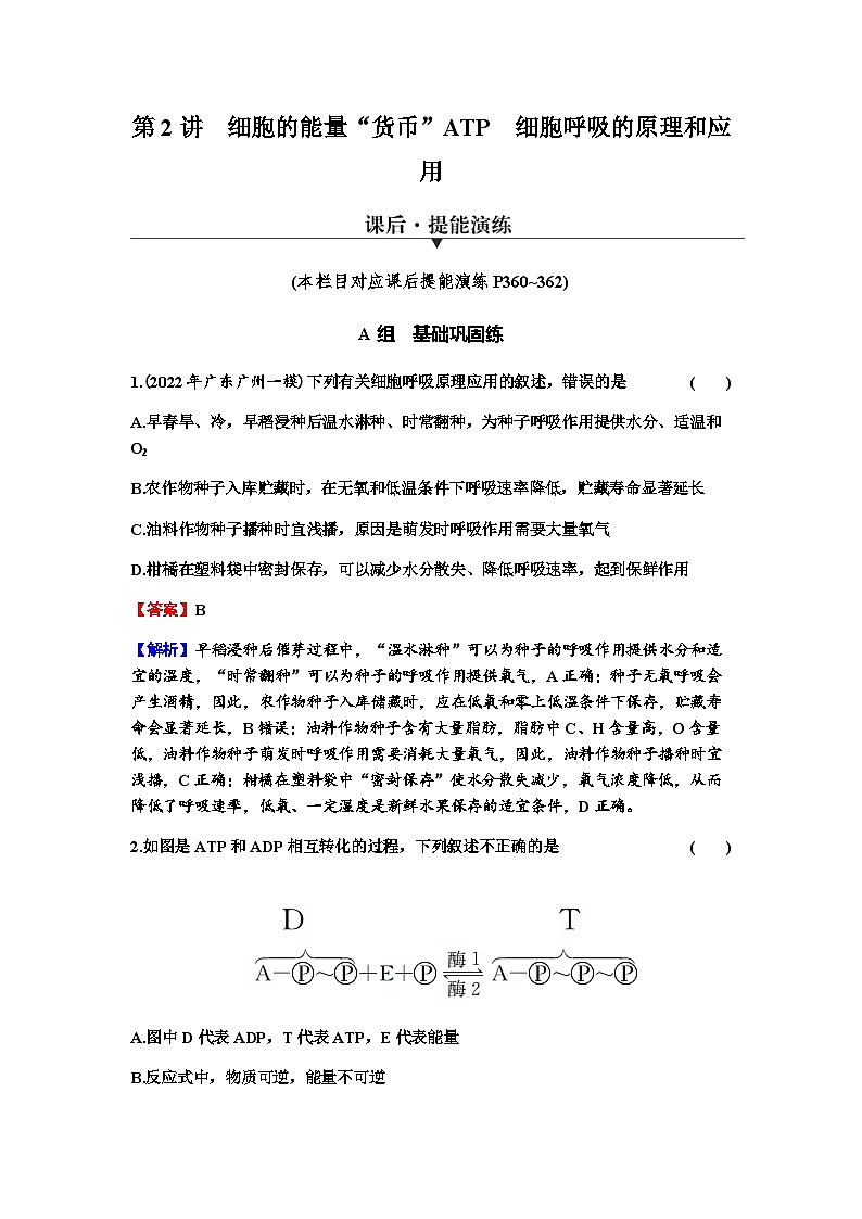 2024届高考生物一轮复习第三单元细胞的能量供应和作用第2讲细胞的能量“货币”ATP细胞呼吸的原理和应用练习含答案第1页
