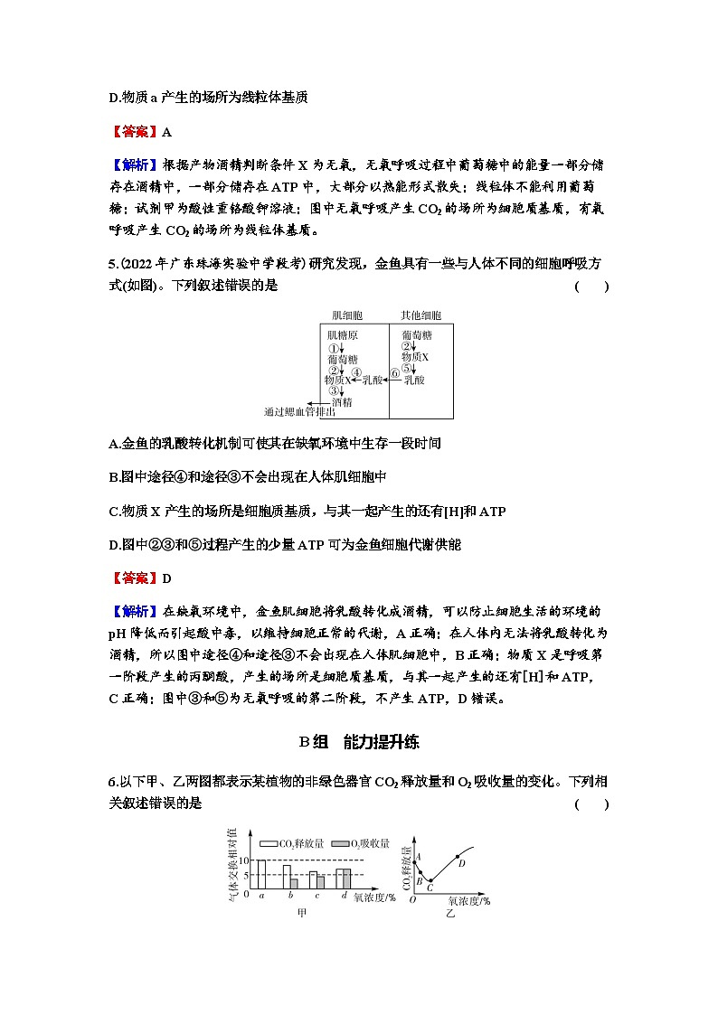 2024届高考生物一轮复习第三单元细胞的能量供应和作用第2讲细胞的能量“货币”ATP细胞呼吸的原理和应用练习含答案第3页