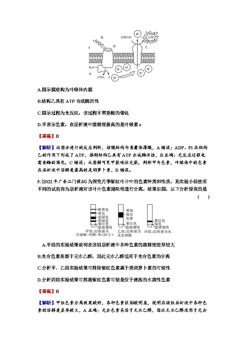 2024届高考生物一轮复习第三单元细胞的能量供应和作用第3讲光合作用与能量转化练习含答案03
