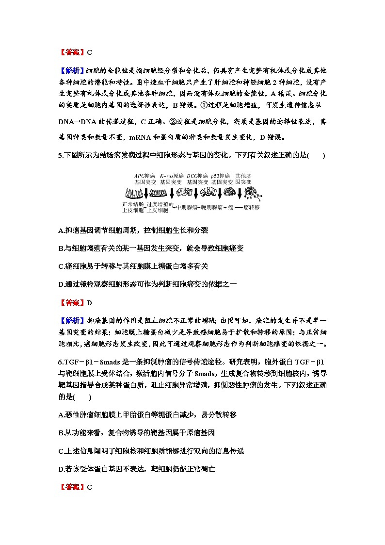 2024届高考生物一轮复习第四单元细胞的生命历程第3讲细胞的分化、衰老和死亡练习含答案03