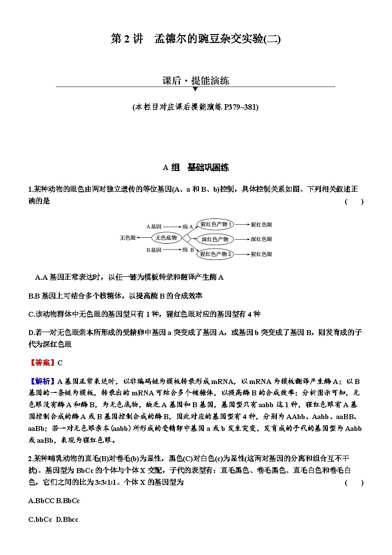 2024届高考生物一轮复习第五单元遗传因子的发现基因和染色体的关系第2讲孟德尔的豌豆杂交实验(二)练习含答案01