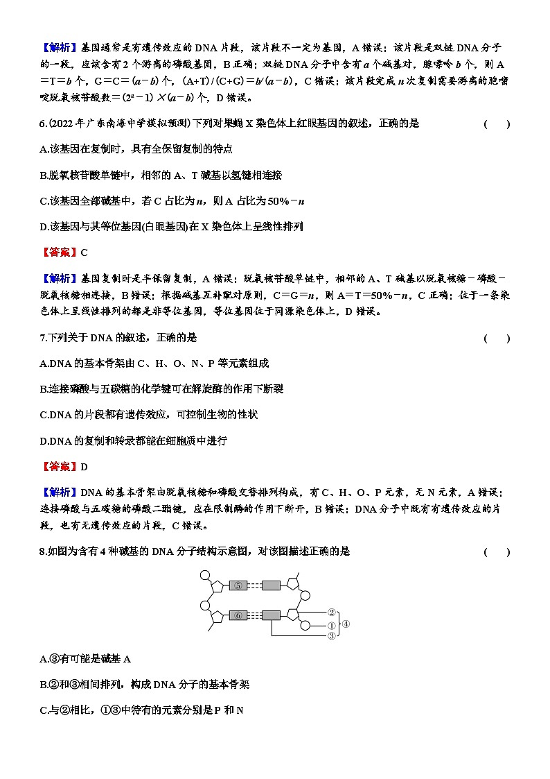 2024届高考生物一轮复习第六单元基因的本质基因的表达第2讲DNA的结构 DNA的复制 基因通常是有遗传效应的DNA片段练习含答案03