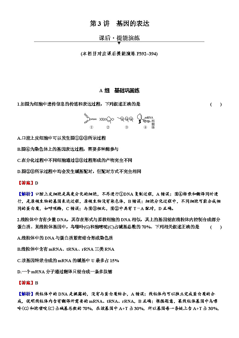 2024届高考生物一轮复习第六单元基因的本质基因的表达第3讲基因的表达练习含答案01
