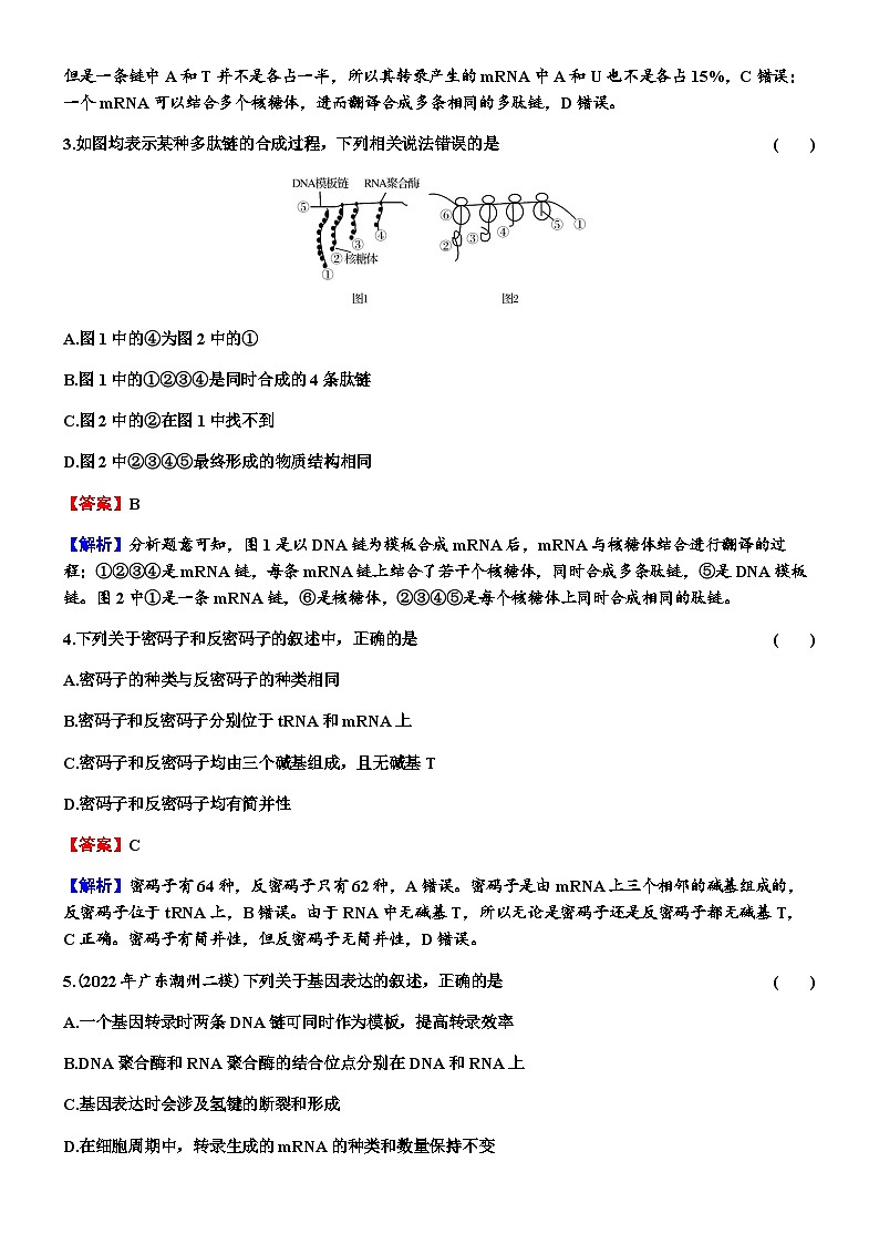 2024届高考生物一轮复习第六单元基因的本质基因的表达第3讲基因的表达练习含答案02