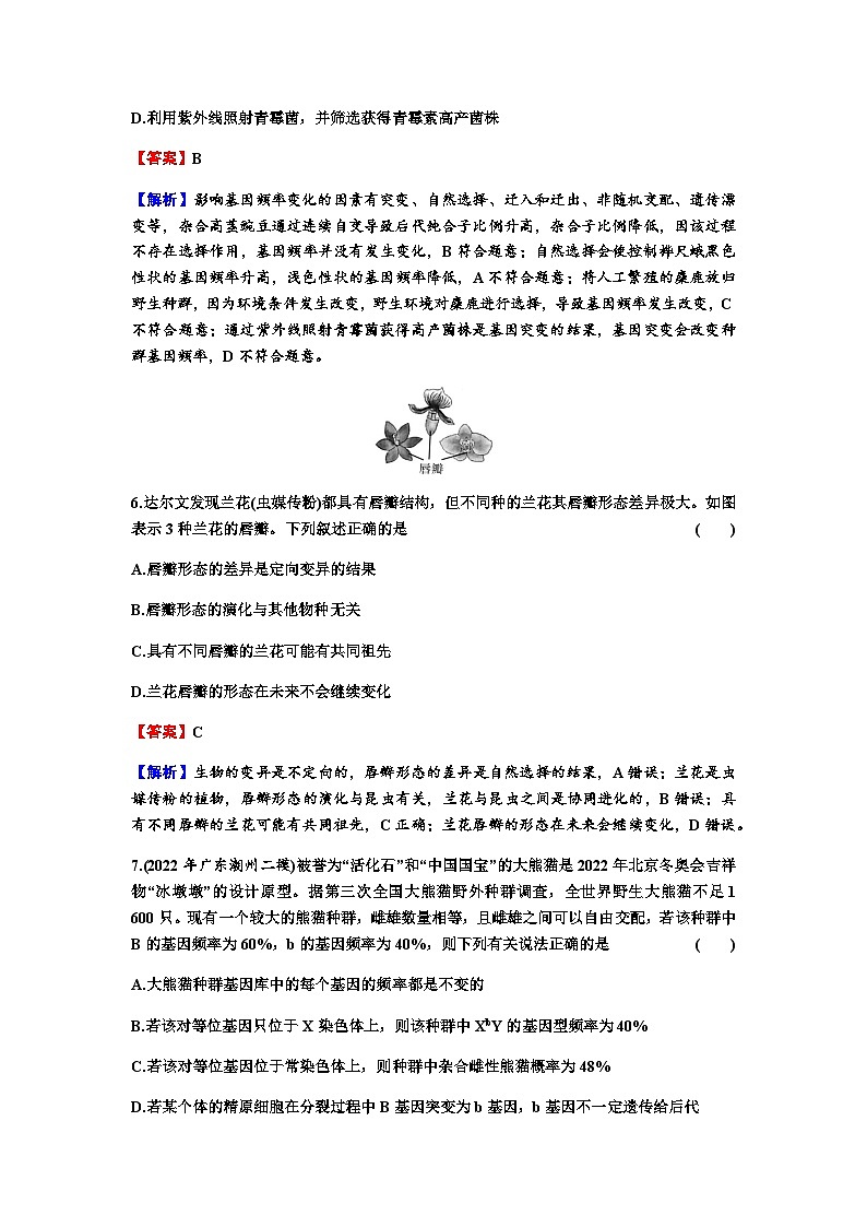 2024届高考生物一轮复习第七单元基因突变及其他变异生物的进化第3讲生物的进化练习含答案03