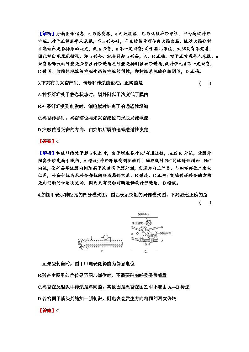 2024届高考生物一轮复习第八单元人和高等动物生命活动的调节第2讲神经调节练习含答案02