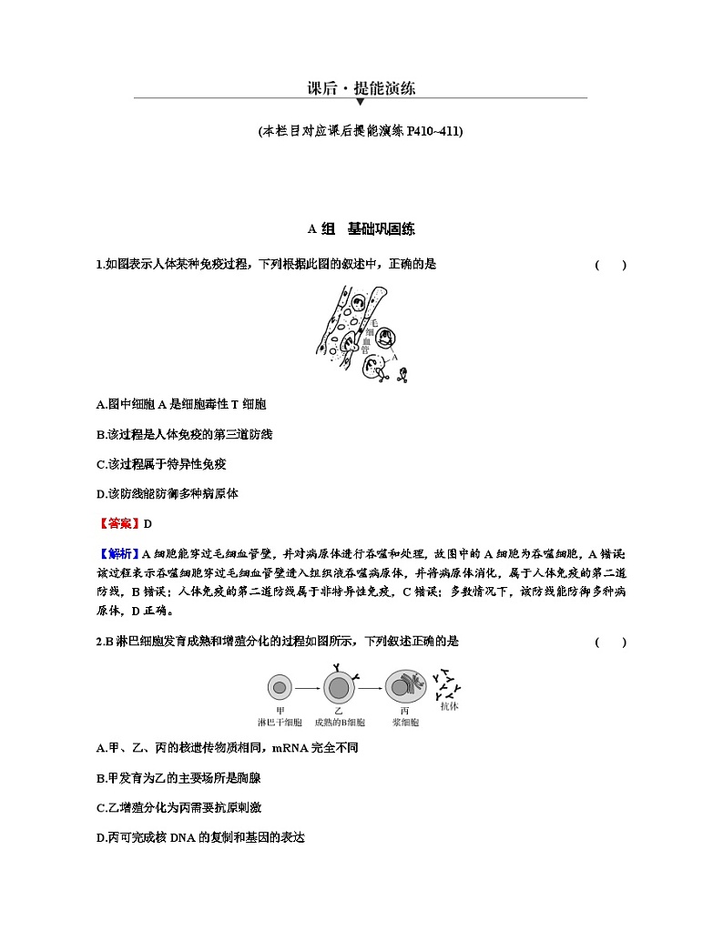 2024届高考生物一轮复习第八单元人和高等动物生命活动的调节第4讲免疫调节练习含答案01