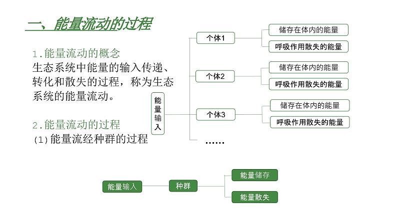 高中生物人教版（2019）选择性必修2第三章3.2《生态系统的能量流动》课件第4页