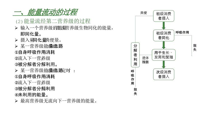 高中生物人教版（2019）选择性必修2第三章3.2《生态系统的能量流动》课件第5页