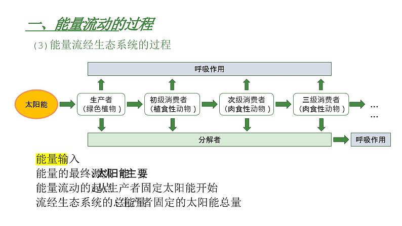 高中生物人教版（2019）选择性必修2第三章3.2《生态系统的能量流动》课件第7页