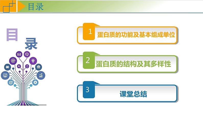 2.4 蛋白质是生命活动的主要承担者 课件 高中生物学人教版2019必修104