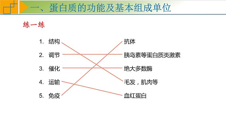 2.4 蛋白质是生命活动的主要承担者 课件 高中生物学人教版2019必修106