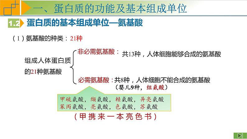 2.4 蛋白质是生命活动的主要承担者 课件 高中生物学人教版2019必修108