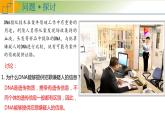 2.5 核酸是遗传信息的携带者 课件 高中生物学人教版2019必修1