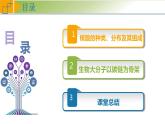 2.5 核酸是遗传信息的携带者 课件 高中生物学人教版2019必修1