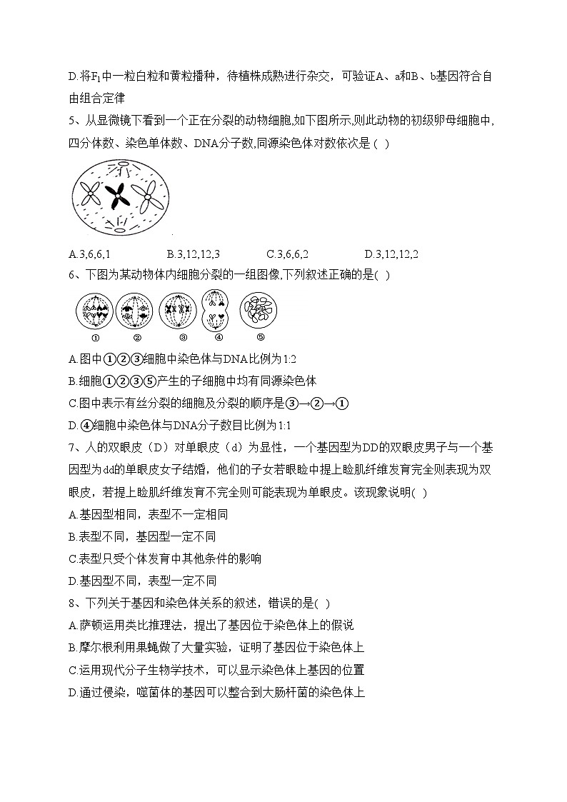 沈阳市第八十三中学2021-2022学年高一下学期6月复学考试生物试卷（含答案）第2页