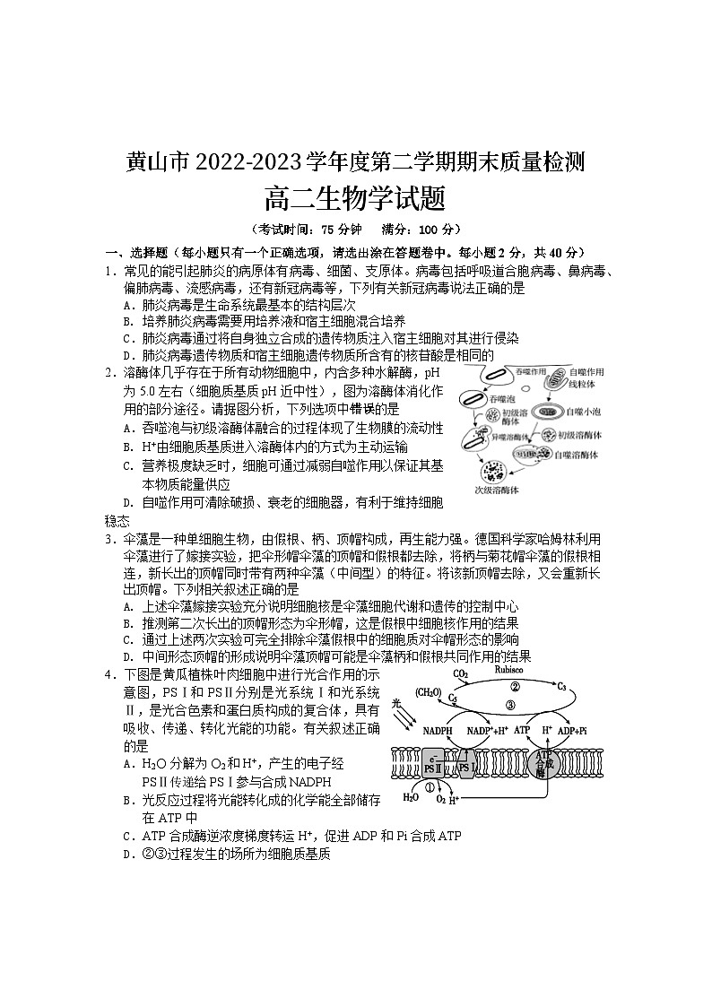 2023黄山高二下学期期末考试生物试卷含答案01
