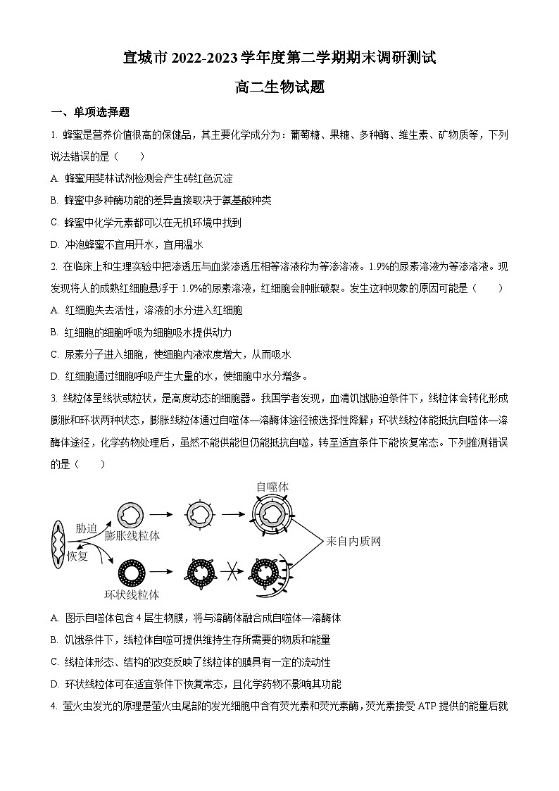 2023宣城高二下学期期末生物试题含解析01