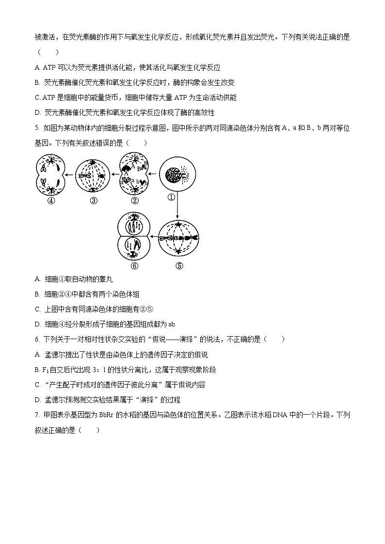 2023宣城高二下学期期末生物试题含解析02