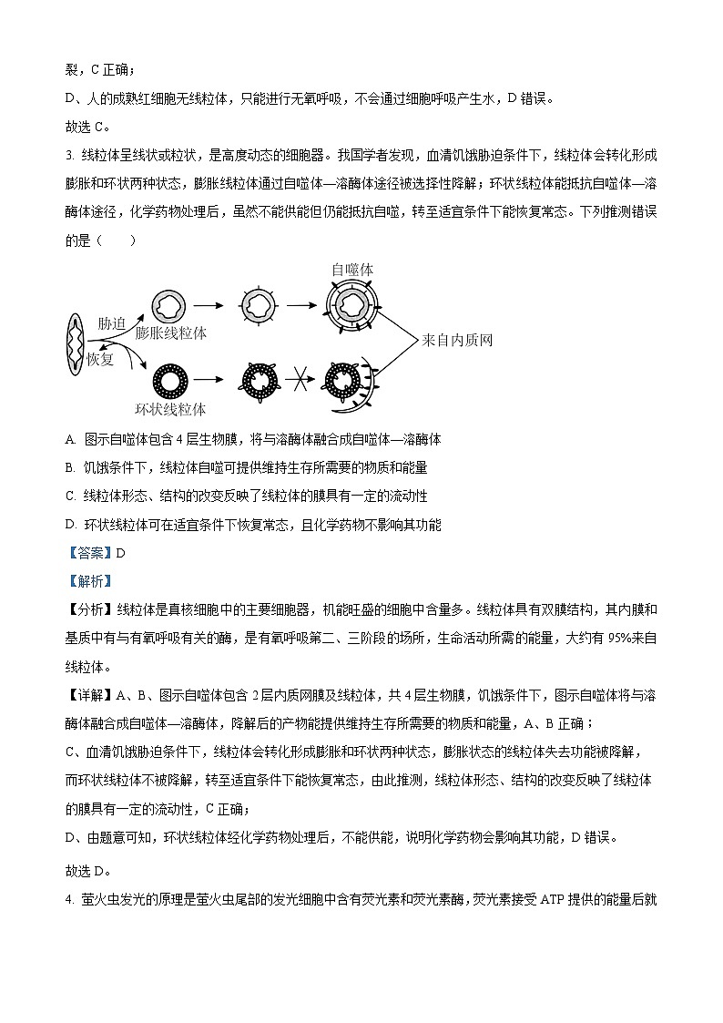 2023宣城高二下学期期末生物试题含解析02