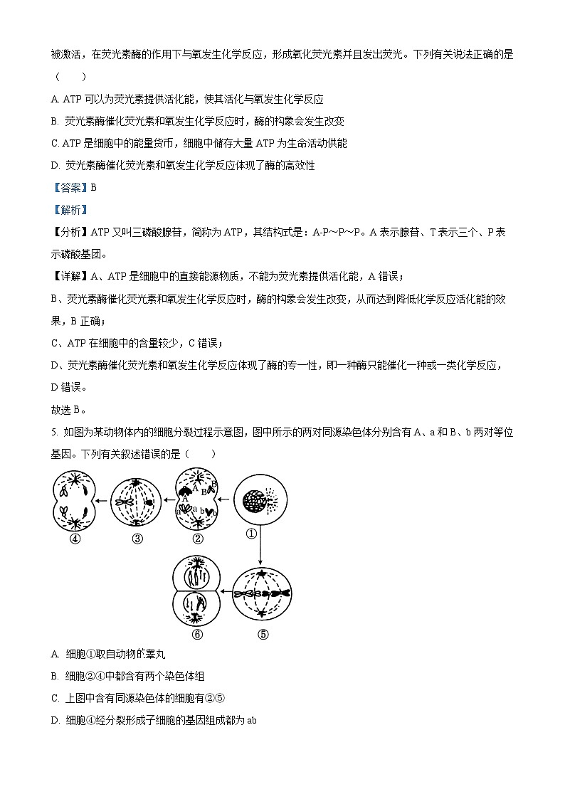 2023宣城高二下学期期末生物试题含解析03