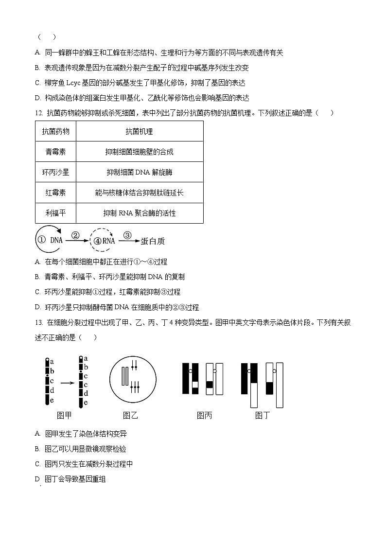 安徽省宿州市省、市示范高中2022-2023学年高一下学期期末联考生物试题无答案第3页