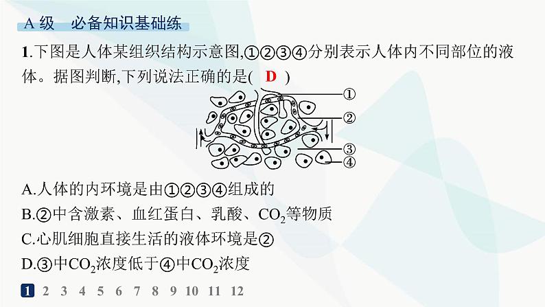 人教A版高中生物选择性必修1稳态与调节第1章人体的内环境与稳态第1节细胞生活的环境分层作业课件第2页