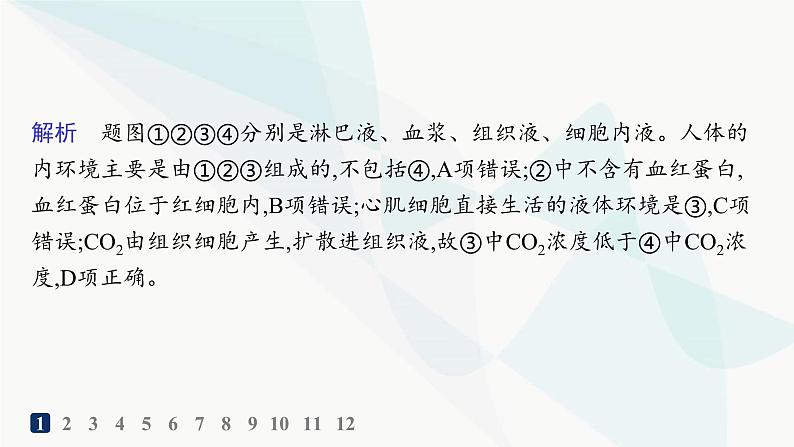 人教A版高中生物选择性必修1稳态与调节第1章人体的内环境与稳态第1节细胞生活的环境分层作业课件第3页
