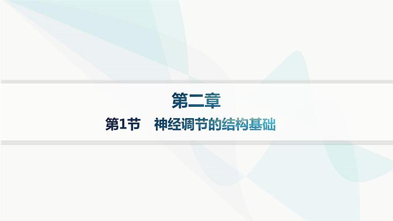 人教A版高中生物选择性必修1稳态与调节第2章神经调节第1节神经调节的结构基础分层作业课件01