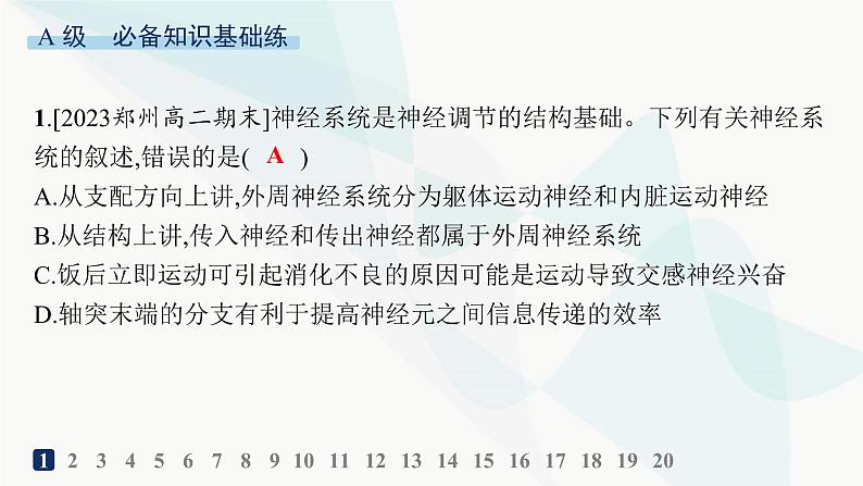 人教A版高中生物选择性必修1稳态与调节第2章神经调节第1节神经调节的结构基础分层作业课件02