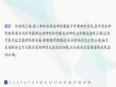 人教A版高中生物选择性必修1稳态与调节第2章神经调节第1节神经调节的结构基础分层作业课件
