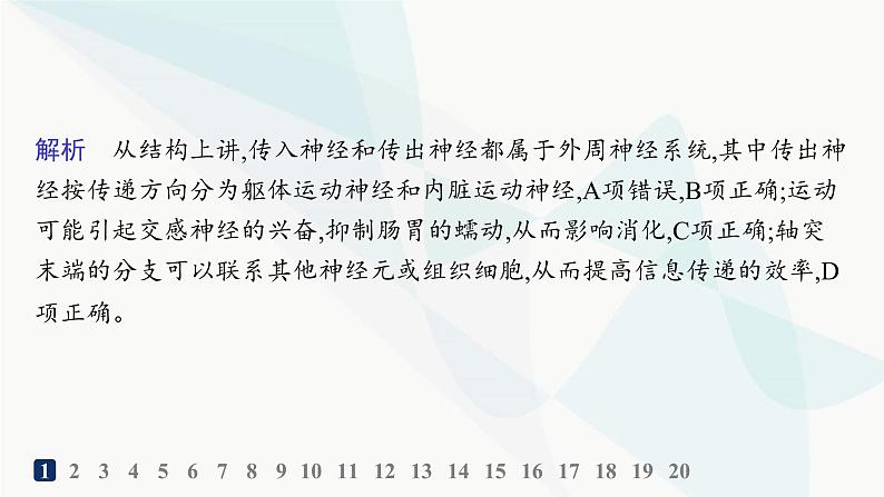 人教A版高中生物选择性必修1稳态与调节第2章神经调节第1节神经调节的结构基础分层作业课件03