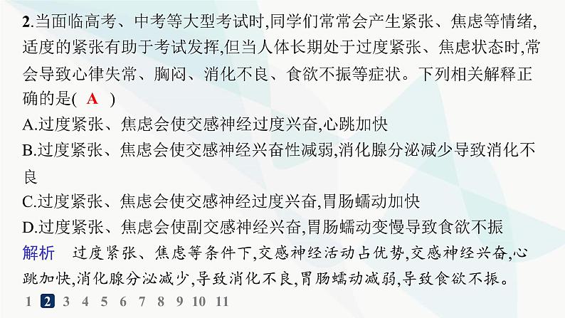 人教A版高中生物选择性必修1稳态与调节第2章神经调节第1节神经调节的结构基础分层作业课件04