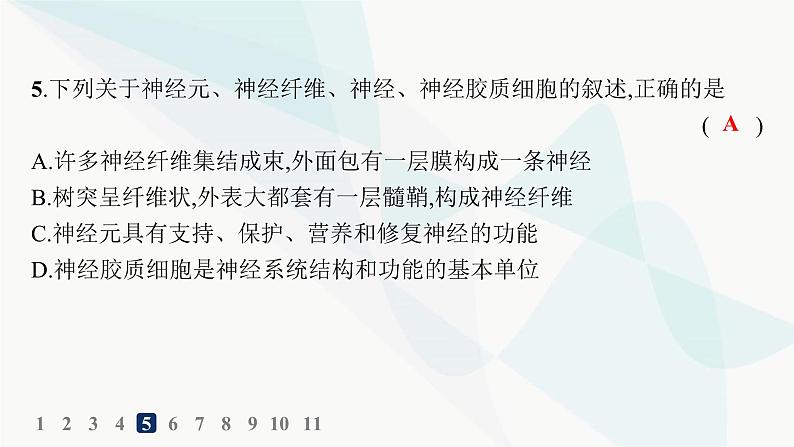 人教A版高中生物选择性必修1稳态与调节第2章神经调节第1节神经调节的结构基础分层作业课件08